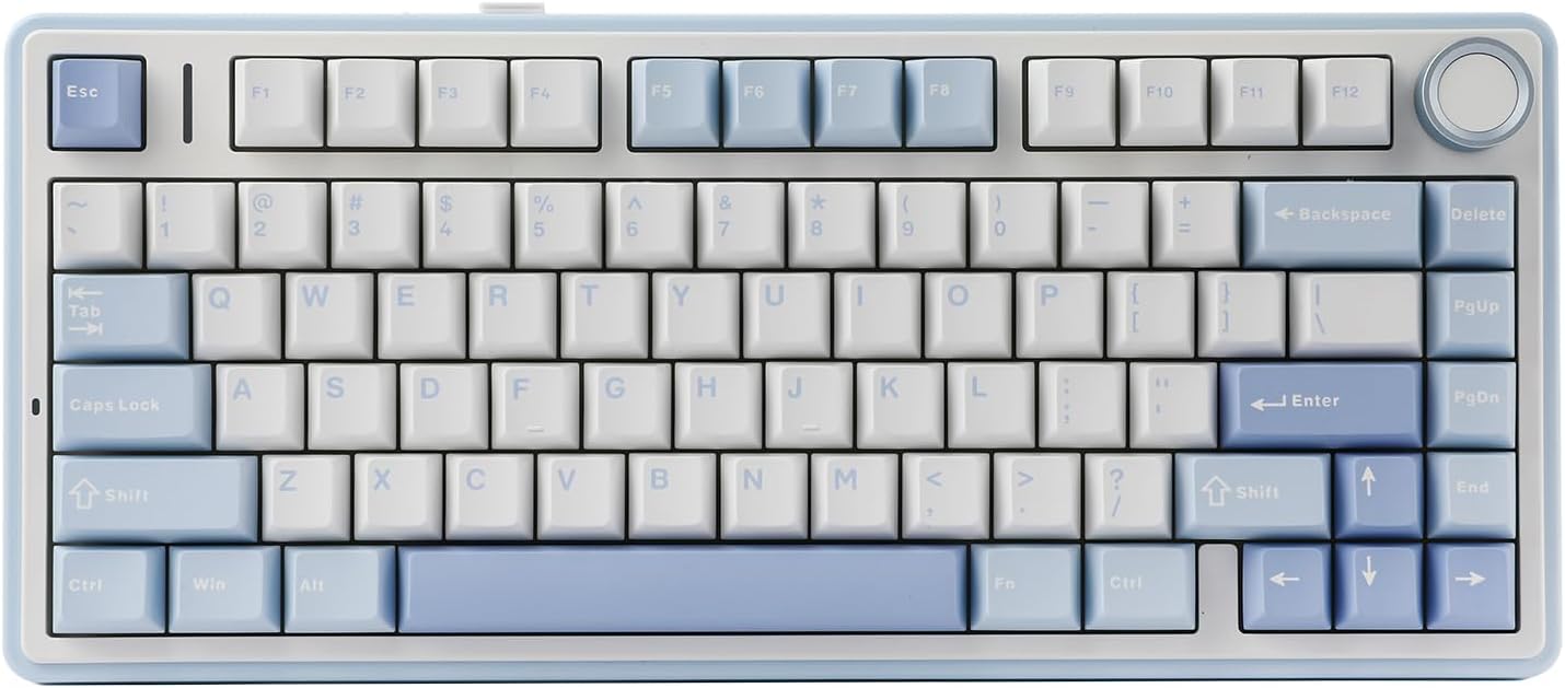 EPOMAKER x Aula F75 Gasket Mechanical Keyboard, 75% Wireless Hot Swappable Gaming Keyboard with Five-Layer Padding&Knob, Bluetooth/2.4GHz/USB-C, RGB (Sea Salt Blue, LEOBOG Reaper Switch)