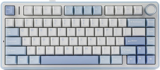 EPOMAKER x Aula F75 Gasket Mechanical Keyboard, 75% Wireless Hot Swappable Gaming Keyboard with Five-Layer Padding&Knob, Bluetooth/2.4GHz/USB-C, RGB (Sea Salt Blue, LEOBOG Reaper Switch)